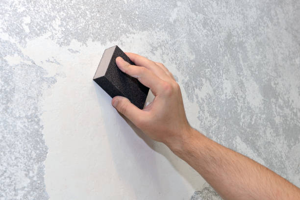 Best Emergency Mold Remediation  in Fulton, IL