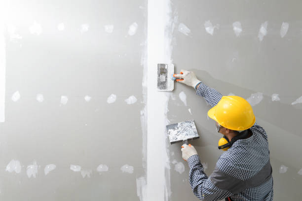 Best Commercial Mold Inspection  in Fulton, IL
