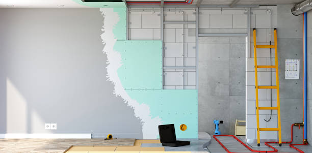Best Mold Damage Restoration  in Fulton, IL